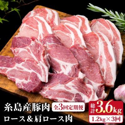 【全3回定期便】糸島産豚肉ロース肉6枚 肩ロースカツ5枚 合計11枚セット《糸島》[ACA229]