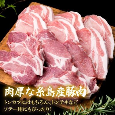 【全3回定期便】糸島産豚肉ロース肉6枚 肩ロースカツ5枚 合計11枚セット《糸島》[ACA229]