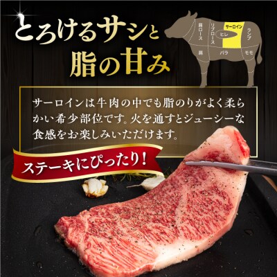 【全6回定期便】博多和牛 サーロイン ステーキ 200g×3枚 ヒサダヤフーズ [AIA076]