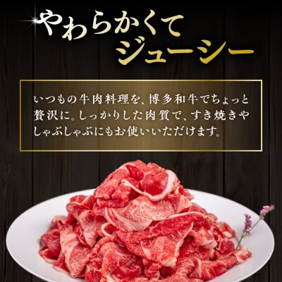 【全6回定期便】博多和牛 切り落とし 500g ヒサダヤフーズ [AIA097]