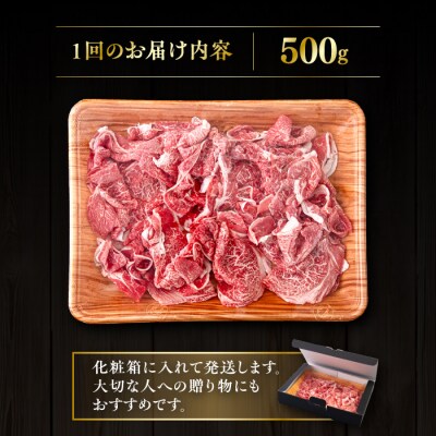 【全6回定期便】博多和牛 切り落とし 500g ヒサダヤフーズ [AIA097]