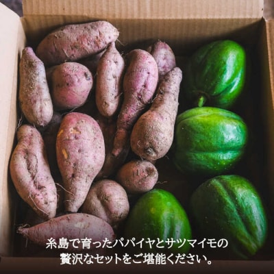 山北パパイヤと安納蜜芋5kgセット 山北農園 [ACH002]