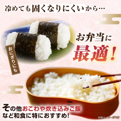 【全3回定期便】ミルキークイーン5kg【玄米・精米専門店 新飼宗一郎商店】[ADE003]