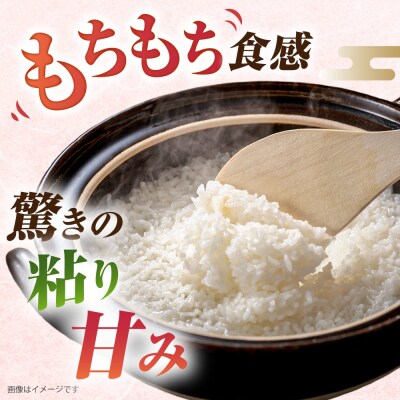 ミルキークイーン2合(300g)×10袋 玄米・白米専門店新飼宗一郎商店[ADE017]