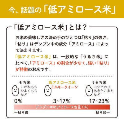 ミルキークイーン2合(300g)×20袋 玄米・白米専門店新飼宗一郎商店[ADE018]