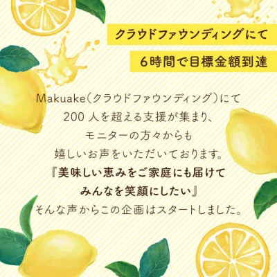 【全3回定期便】糸島レモンチーズケーキ 桐箱入り/リネンバック付/EARTH[ADI002]