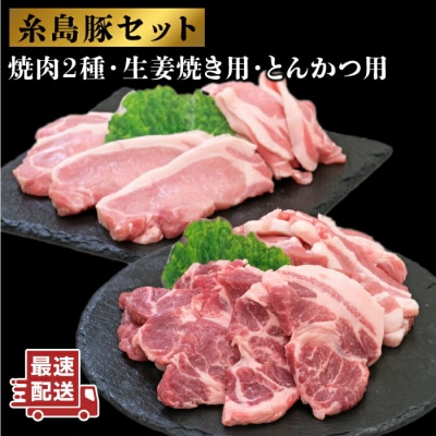 JA糸島 糸島豚 焼肉 トンカツ 生姜焼き セット /JA糸島産直市場 伊都菜彩[AED003]