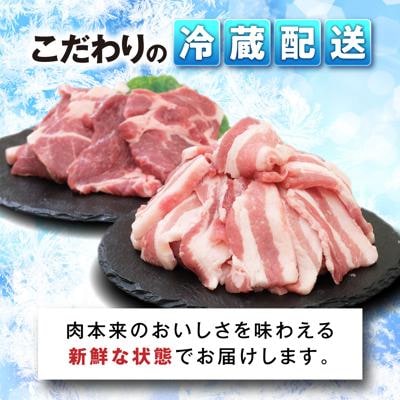 JA糸島 糸島豚 焼肉 セット 肩ロース バラ 糸島市/JA糸島産直市場 伊都菜彩[AED004]