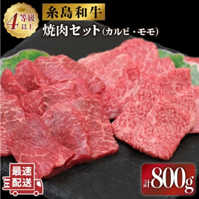 JA糸島 黒毛和牛 焼肉 セット カルビ モモ 800g/JA糸島産直市場 伊都菜彩[AED008]