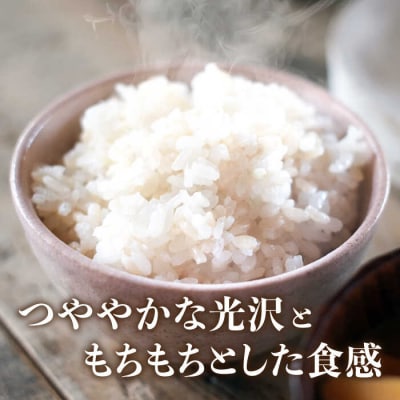 糸島のお米 夢つくし 「糸島美人」5kg 糸島市 / 伊都菜彩 [AED013]