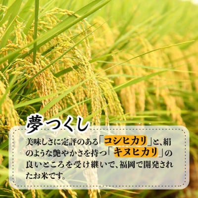 糸島のお米 夢つくし 「糸島美人」5kg 糸島市 / 伊都菜彩 [AED013]