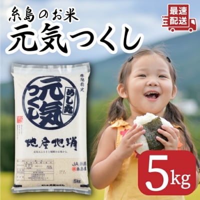糸島のお米 元気つくし 5kg 糸島市 / 伊都菜彩 [AED015]