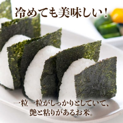 糸島のお米 元気つくし 5kg 糸島市 / 伊都菜彩 [AED015]