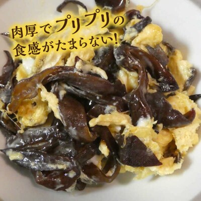 生きくらげ 100g × 4P 福岡県糸島産 糸島市/糸島きのこファーム [AFC004]