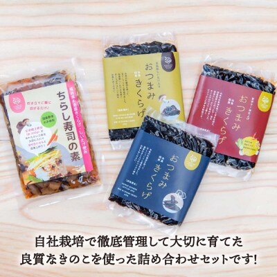おつまみ 国産 きくらげ 佃煮 3種 + 混ぜるだけのちらし寿司の素 きのこファーム[AFC005]