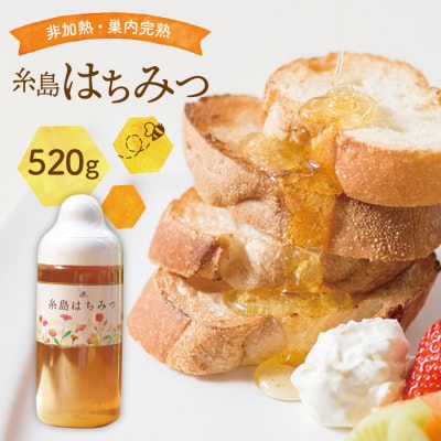 糸島 はちみつ 520g【ヴァンベールフーズ】百花 / 蜂蜜 [AFJ002]