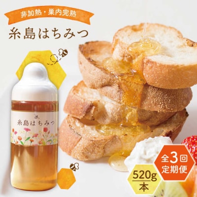 【全3回定期便】糸島 はちみつ 520g/ヴァンベールフーズ[AFJ005]