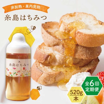 【全6回定期便】糸島 はちみつ 520g/ヴァンベールフーズ[AFJ006]