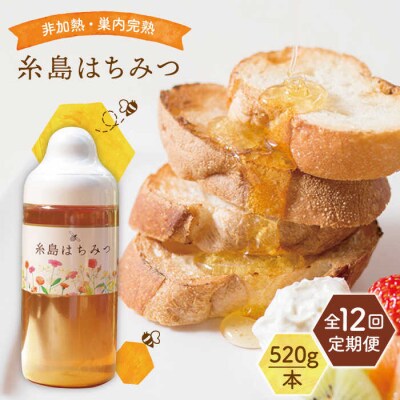 【全12回定期便】糸島 はちみつ 520g/ヴァンベールフーズ[AFJ007]