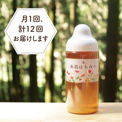 【全12回定期便】糸島 はちみつ 520g/ヴァンベールフーズ[AFJ007]
