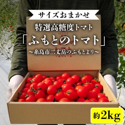 糸島二丈岳【ふもとのトマト】サイズおまかせ 約2kg(専用箱入り)/株式会社さいかい[AFL002]