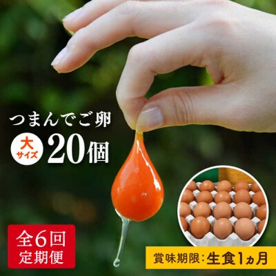 【全6回定期便】つまんでご卵 20個箱 卵 定期便(月1回) 糸島 / 緑の農園 [AGA009]