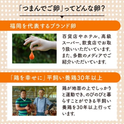 【全12回定期便】つまんでご卵 40個 定期便 (月1回) 卵 たまご【緑の農園】[AGA014]