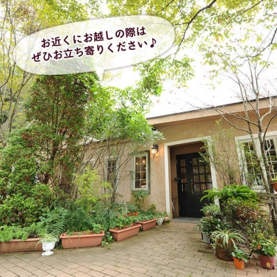 【全12回定期便】一貴山 豚ロース 味噌漬け 6枚 糸島市 / いきさん牧場 [AGB021]