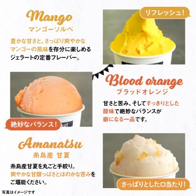 【夏季限定】ジェラートボトル10個セット(5種×各2)/ロイターマーケット[AGD003]