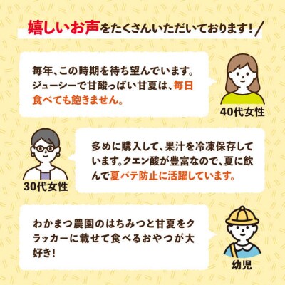 【先行受付】【有機栽培】甘夏10kg栽培期間中農薬不使用【わかまつ農園】 [AHB016] 
