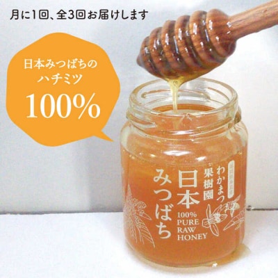 【全3回定期便】福岡県糸島産わかまつ果樹園の日本蜜蜂のはちみつ100%PURERAW[AHB032]