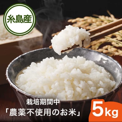 栽培期間中 農薬不使用のお米 ヒノヒカリ 5kg 糸島市 シーブ [AHC005]