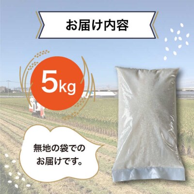 栽培期間中 農薬不使用のお米 ヒノヒカリ 5kg 糸島市 シーブ [AHC005]