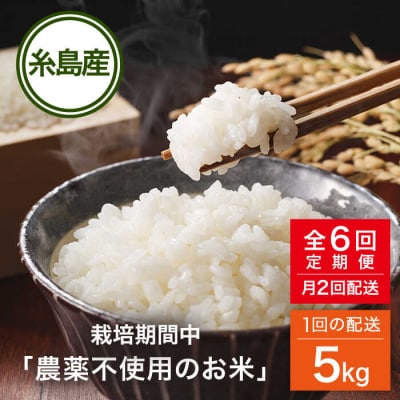 【全6回(月2回)定期便】栽培期間中 農薬不使用ヒノヒカリ 5kg 糸島市 シーブ [AHC006]