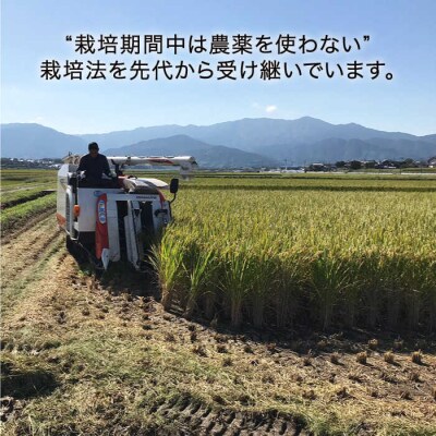 【全6回(月2回)定期便】栽培期間中 農薬不使用ヒノヒカリ 5kg 糸島市 シーブ [AHC006]
