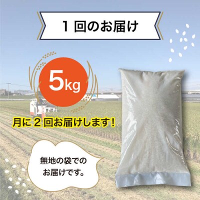 【全6回(月2回)定期便】栽培期間中 農薬不使用ヒノヒカリ 5kg 糸島市 シーブ [AHC006]