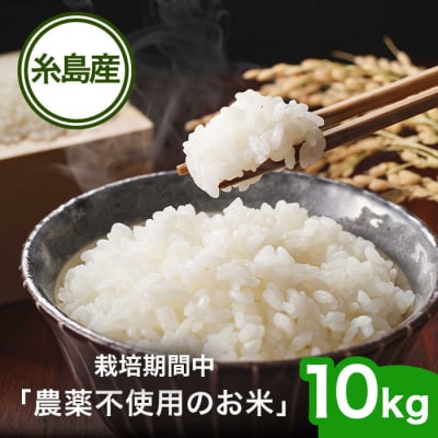 栽培期間中 農薬不使用のお米 ヒノヒカリ 10kg 糸島市 シーブ [AHC007]