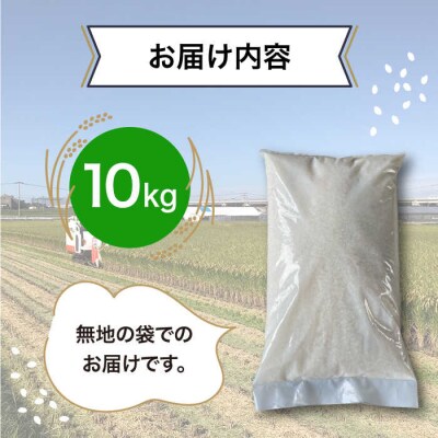 栽培期間中 農薬不使用のお米 ヒノヒカリ 10kg 糸島市 シーブ [AHC007]