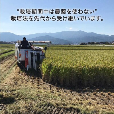 【全3回(月1回)定期便】栽培期間中 農薬不使用のお米 ヒノヒカリ 10kg [AHC044]