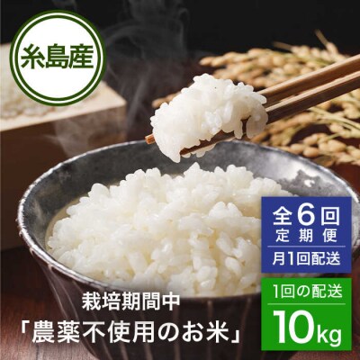 【全6回(月1回)定期便】栽培期間中 農薬不使用のお米 ヒノヒカリ 10kg [AHC045]