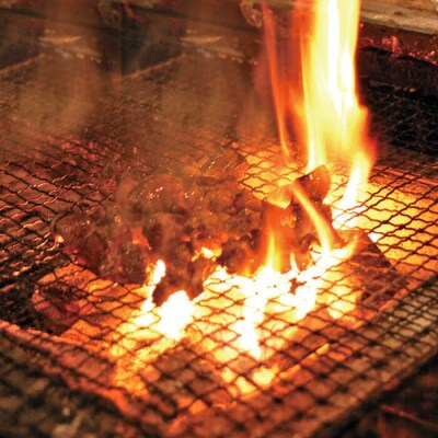 炭火焼 鶏ごぼうめしの具 5個セット 糸島市 / ヒサダヤフーズ 鶏めし かしわ飯 [AIA069]