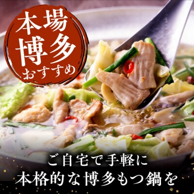 【全6回定期便】博多もつ鍋セット(醤油味)3-4人前【トリゼンフーズ】[AIB013]