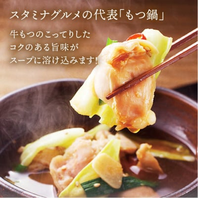 【全12回定期便】博多もつ鍋セット(醤油味)3～4人前【トリゼンダイニング】[AIB014]