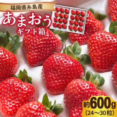 糸島産 あまおう ギフト 箱 ( 24-30粒 ) 【南国フルーツ株式会社】[AIK011]
