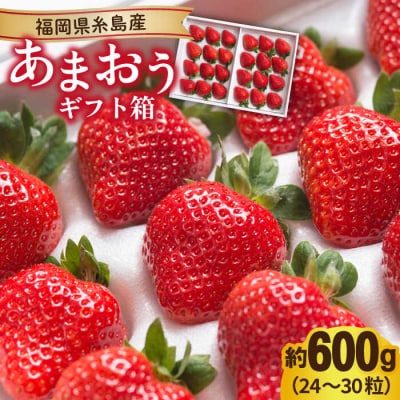 糸島産 あまおう ギフト 箱 ( 24-30粒 ) 【南国フルーツ株式会社】[AIK011]