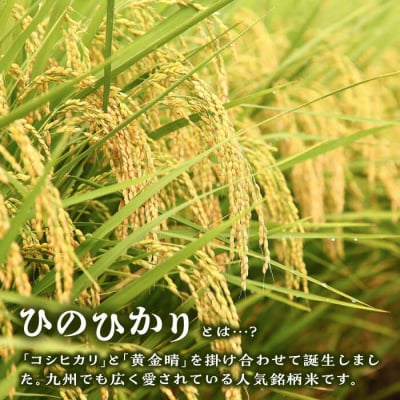 【月2回お届け】【全12回定期便】糸島産 ひのひかり 5kg 6ヶ月コース/三島商店[AIM029]