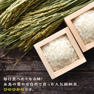 【月2回お届け】【全24回定期便】糸島産ひのひかり 5kg 12ヶ月コース/三島商店[AIM030]