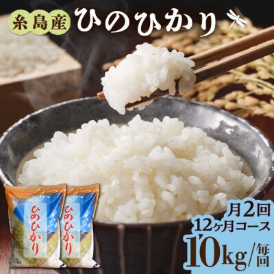 【月2回お届け】【全24回定期便】糸島産 ひのひかり10kg12ヶ月コース/三島商店[AIM034]