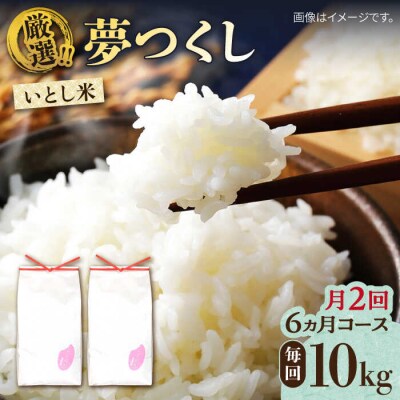 【月2回お届け】【全12回定期便】いとし米 厳選夢つくし 10kg / 三島商店 [AIM056]