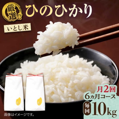【月2回お届け】【全12回定期便】いとし米 厳選ひのひかり10kg / 三島商店 [AIM058]
